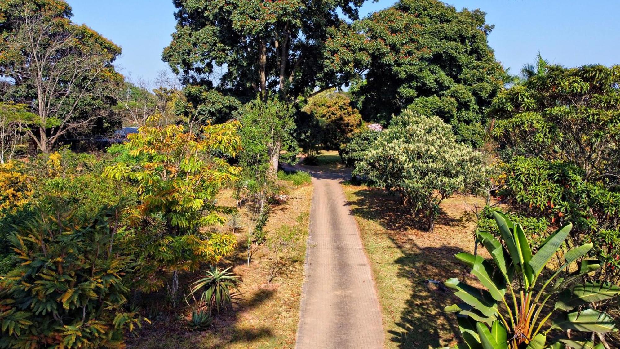 Ilanda Guest House White River Luaran gambar