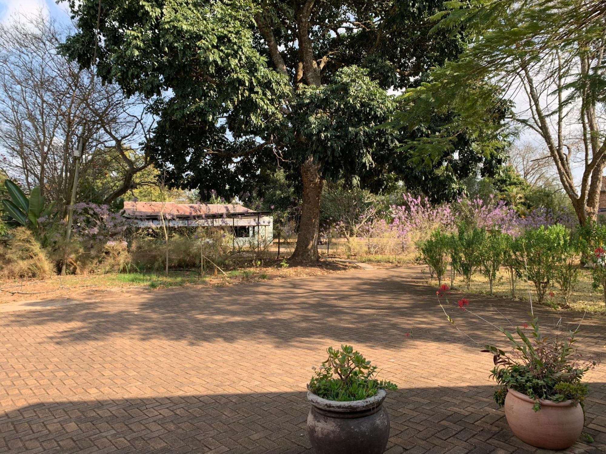 Ilanda Guest House White River Luaran gambar